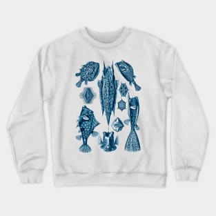 Ernst Haeckel Ostraciontes Fish Prussian Blue Crewneck Sweatshirt